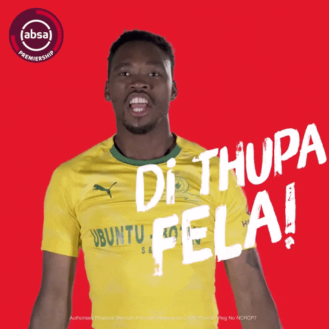 south african soccer GIF