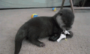 otters