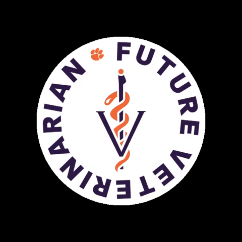 Clemson University Sc GIF by Clemson Vet Med