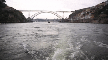 SEADOURO GIF