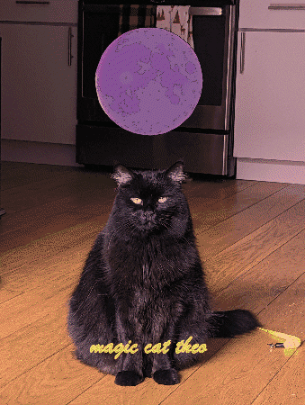 Cat Magic GIF