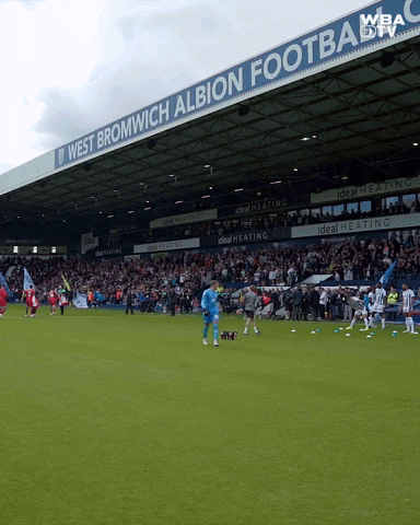 Football Sport GIF by West Bromwich Albion