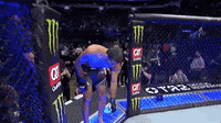 200w.gif