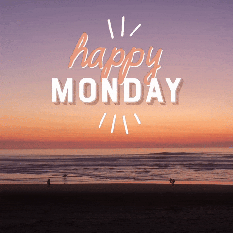 Happy Monday, Boo 🌺✨️