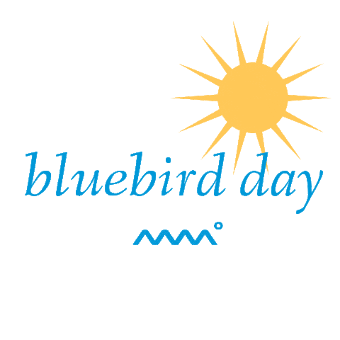 Sun Bird Sticker by Panorama Resort