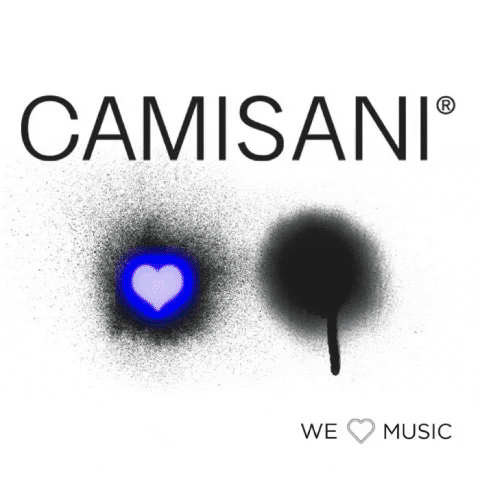 Djs GIF by camisanidjs