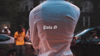 Polo Print Gifs Get The Best Gif On Giphy Polo Print Gifs Get The Best Gif On Giphy