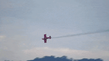 Fly Vida GIF by GIF CHANNEL - GREENPLACE PARK