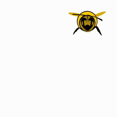 Bumblebee GIF