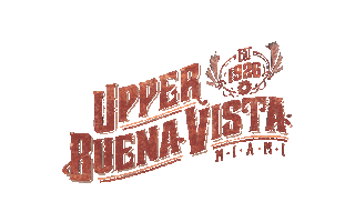 Fun Family Sticker by upperbuenavista