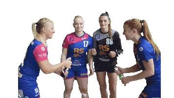 Vater Jahn Peine 1. Handball Damen Sticker
