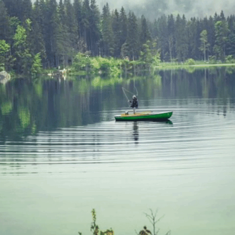 Camp Camping GIF