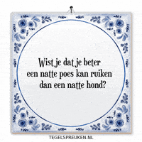 Spreuk Troost GIF by Tegelspreuken.nl