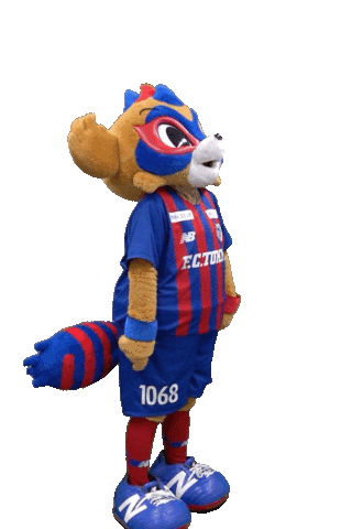 Football Tokyo Sticker by FC東京