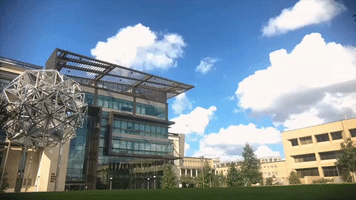 texas a college GIF by Texas A&M University