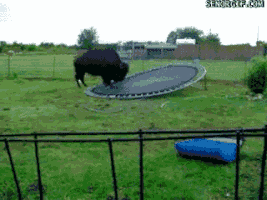 trampoline fail GIF