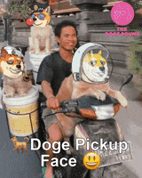 Dogecoin Tdp GIF by The Doge Pound 