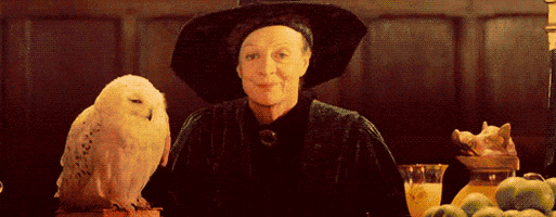 Professor Mcgonagall GIFs - Find & Share on GIPHY