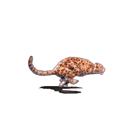 Desarrollo Territorial y Ambiente Sticker