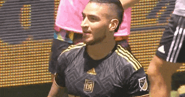 Watching You Los Angeles GIF by Major League Soccer