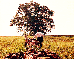 shawshank redemption freedom