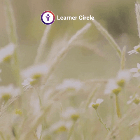 Summer Love GIF by Learner Circle