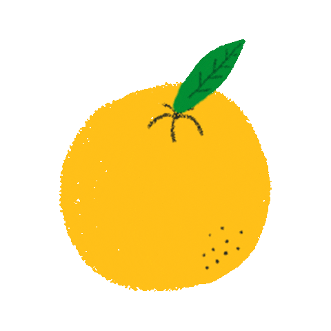 Orange Fruit Sticker