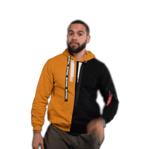 P4L Sticker by Emile Machado