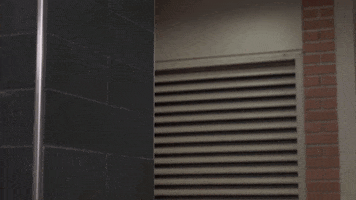 Surprised GIF by Minnesota State University Moorhead