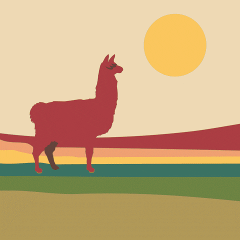 Cerveza Salta Cautiva GIF