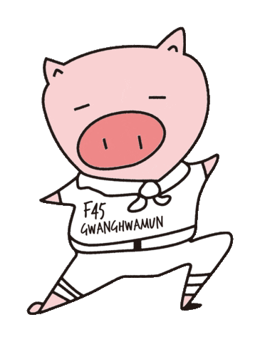 F45 Gwanghwamun Sticker