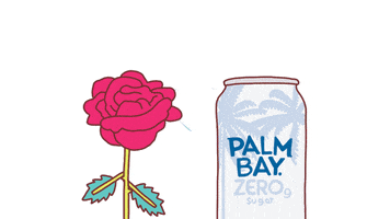 The Bachelorette Love GIF by Palm Bay Spritz