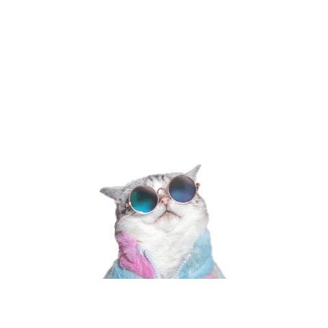 Sticker by Brooklyn Cat Cafe