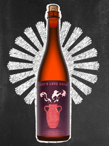 Beer Sourbeer GIF by Drake's Brewing Co.