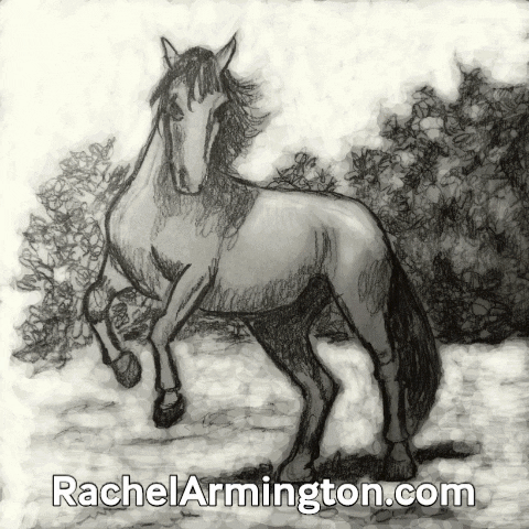 Rachel Armington GIF