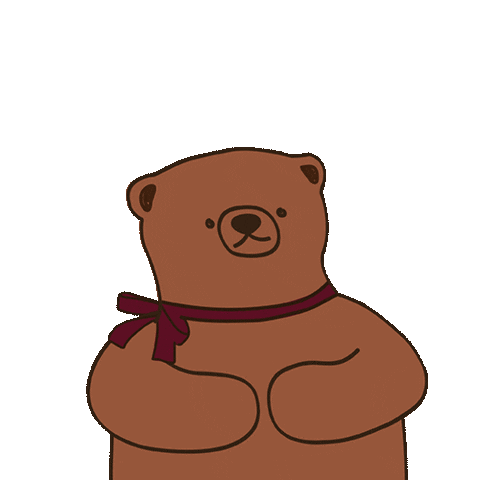 Bear No Sticker