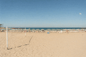 luisam  GIF