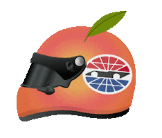 Atlanta Motor Speedway Sticker