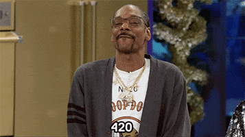 Snoop Dogg Weed GIF by VH1