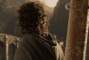 Movie gif. Elijah Wood as Frodo in Lord of the Rings. Frodo is staring out of a balcony and slowly turns around as he hears someone approach. A gentle smile fills his face.