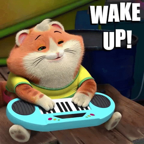 Wake Up Omg GIF by 44 Cats