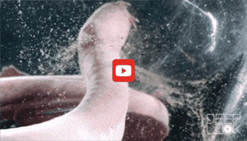 GIF by KQEDScience