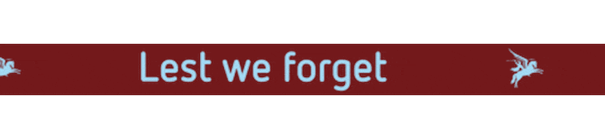 Lest We Forget Omroepgld Sticker by Omroep Gelderland