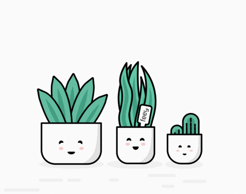 plant gif