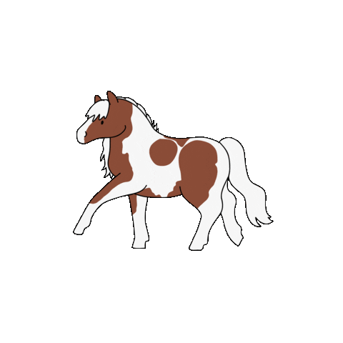 Horse Pony Sticker by Happy Horsemanship TV