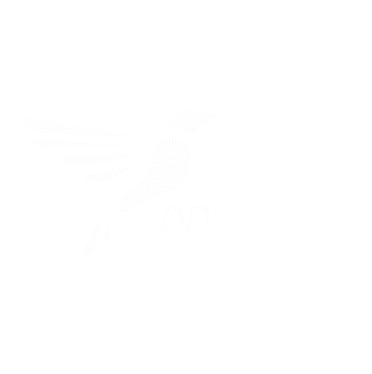 ddoptics Sticker