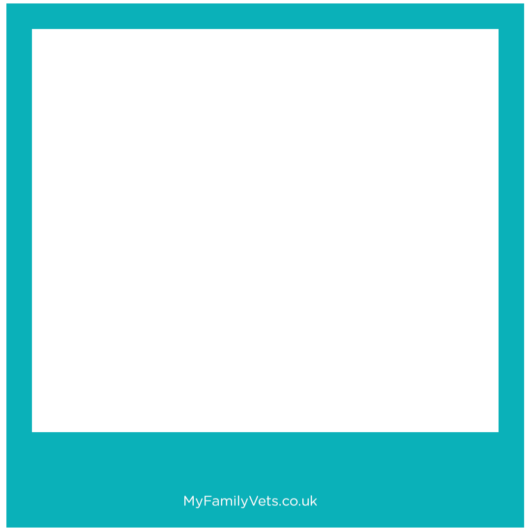 MyFamilyVets Sticker