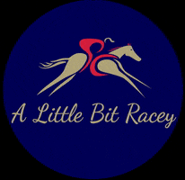 PCRacewear GIF