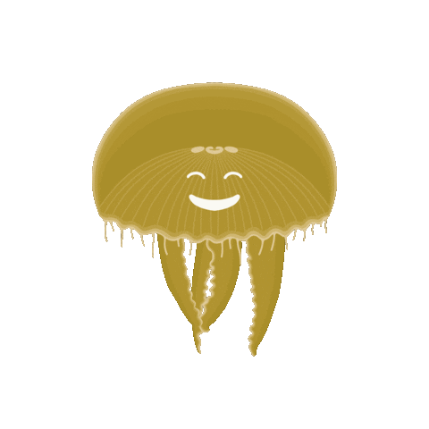 Happy Ocean Sticker by Muséum-Aquarium de Nancy