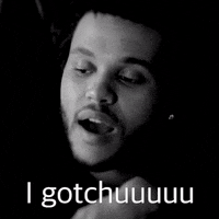 Will Do GIF by The Weeknd